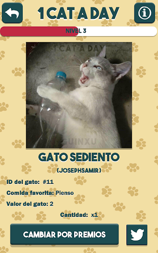 1 Cat a Day screenshot 10