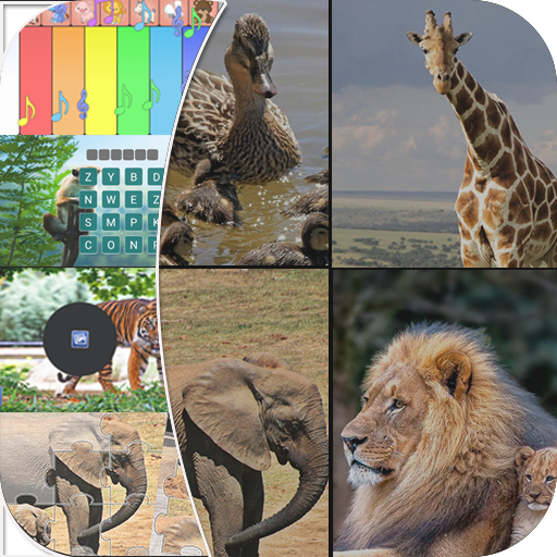 Animals sounds – learning animals and birds names icon