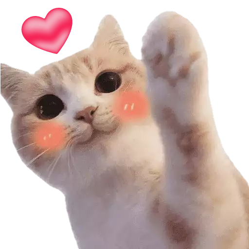 Cute Cat Stickers icon
