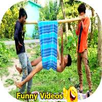 Funny Video Status - Comedy Video