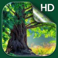 Hutan Wallpaper Animasi HD on 9Apps