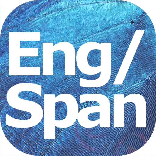 Learn English Spanish Verbs, Vocabulary, &amp; Grammar icon