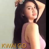 Video Kwai Go Options icon