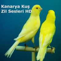 Kanarya Kuş Zil Sesleri HD on 9Apps