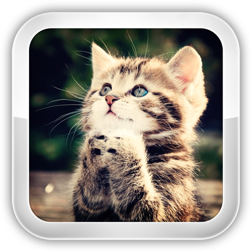 Cat Games icon