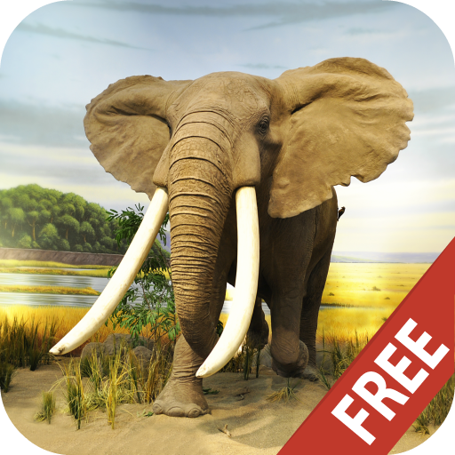 Baby Learn Animals Flash Cards icon