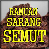 Ramuan Herbal Sarang Semut Papua Alami Lengkap on 9Apps