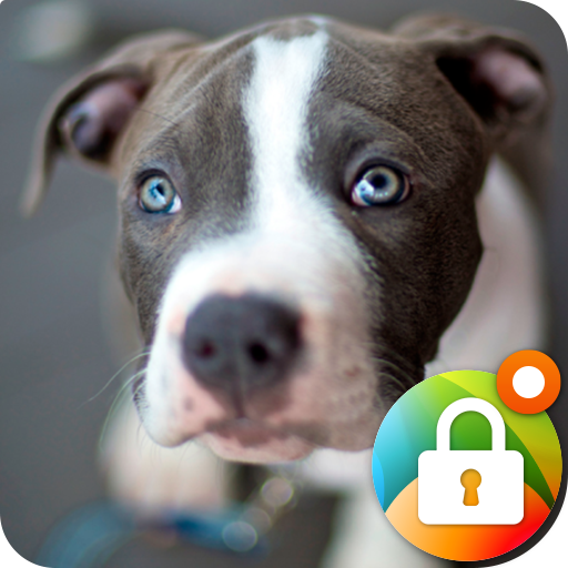 Pitbull Nice Dogs Wallpaper Lock Screen icon