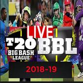 Big Bash Cricket T20 Game 2018 | Big Bash Cricket icon