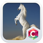 White Horse Theme C Launcher icon