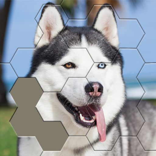 Jigsaw Hexa Block icon