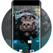 Theme for Intex Aqua X Undersea Wallpaper icon