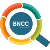 BNCC Consult on 9Apps