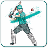 Hand Cricket Game : Unlimited Fun icon