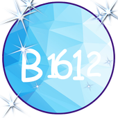 B1612 Pro Effect icon