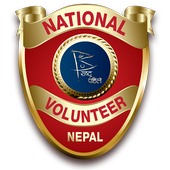 NVP icon