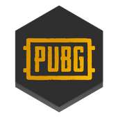 PUBG CASES