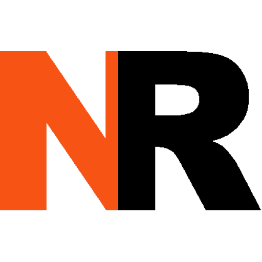 NeoRouter VPN Professional icon