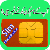 Pakistan SIM Info Identity icon