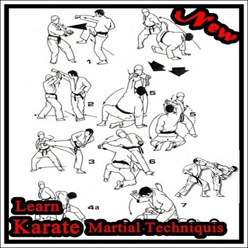 Learn Karate Martial Techniquis icon