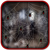2D Black Spider Live Wallpaper icon