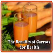 The Benefits Of Carrot on 9Apps