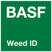 Weed ID icon