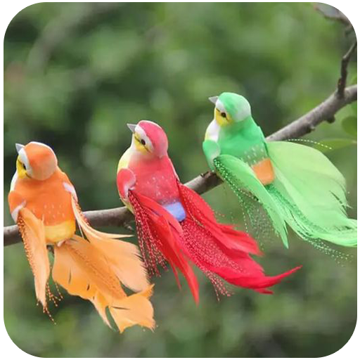 Bird Ringtones For Android Phone icon