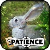 Patience icon
