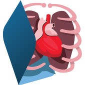 Human Body Anatomy 3D - Free иконка