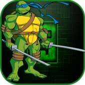 ninja fight turtle