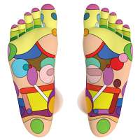 Foot Reflexology Chart