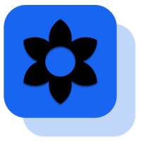 Walfy - Wallpaper App