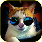 Funny Sound Effects icon