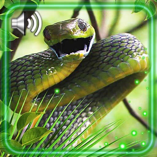 Snakes Best Live Wallpaper icon