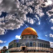 ikon Palestine Wallpapers HD