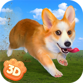 Corgi Dog Life Simulator 3D icon