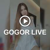 Hot Gogor Live App