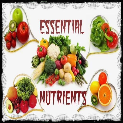 Essential Nutrients for Health icon