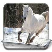 Running Horse pictures and Live wallpaper on 9Apps