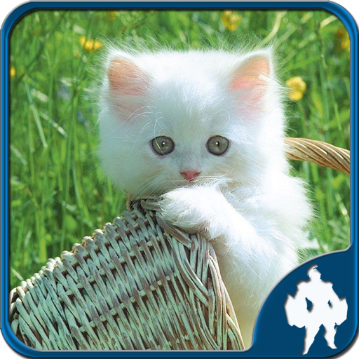 Cats Jigsaw Puzzles icon