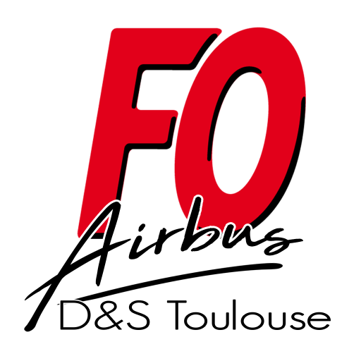 FO D&amp;S Toulouse icon
