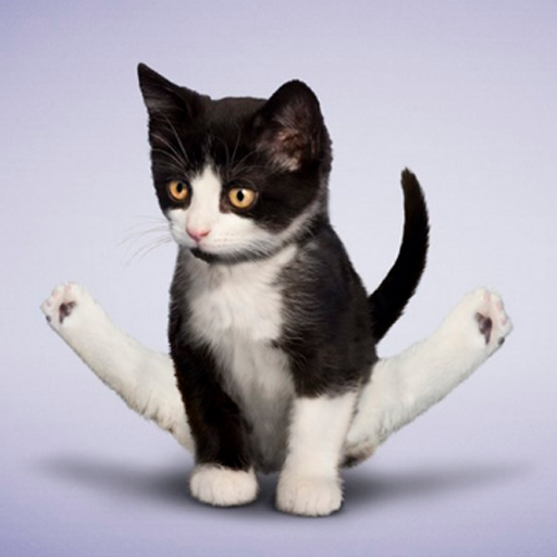 Do the splits in 30 days icon