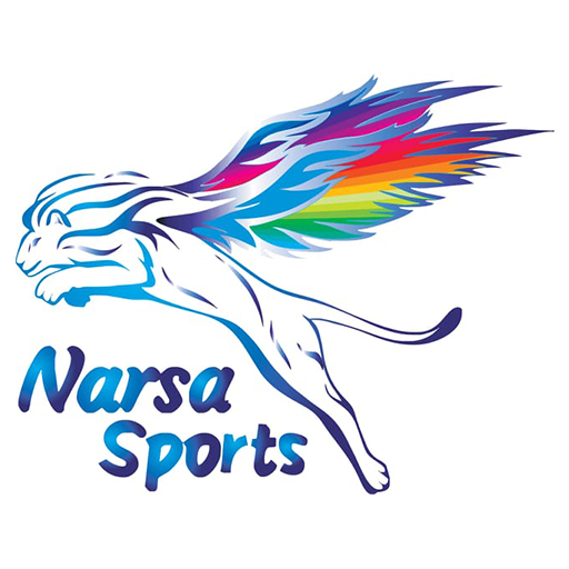 Narsa Sports icon