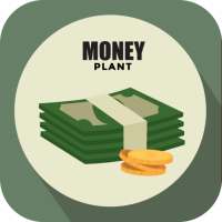 Money Plant