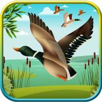 Duck Hunting 3D: Classic Duck Shooting Seasons