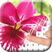 Color by Number: Flowers Pixel Art icon