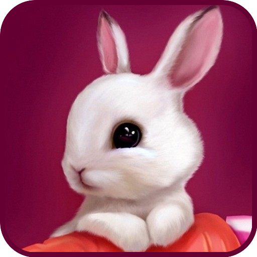 Bunny Wallpaper icon