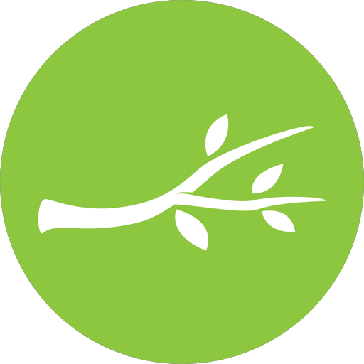 Branch Church أيقونة