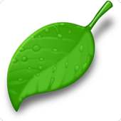 Science Facts on 9Apps